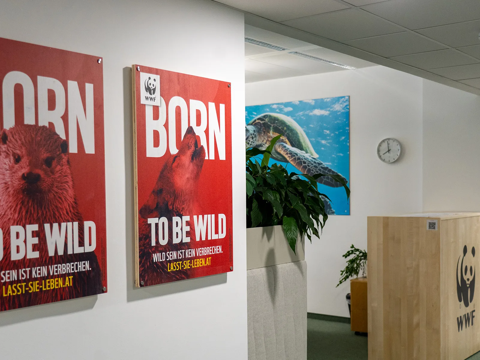 WWF Österreich