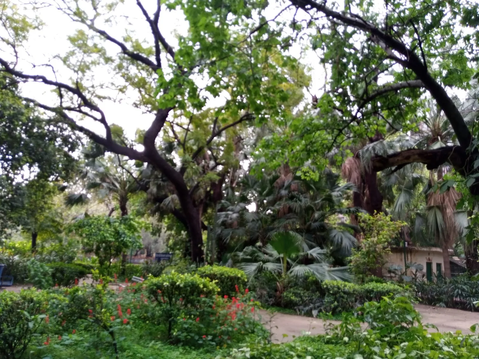 Prasad Nagar Jheel Park