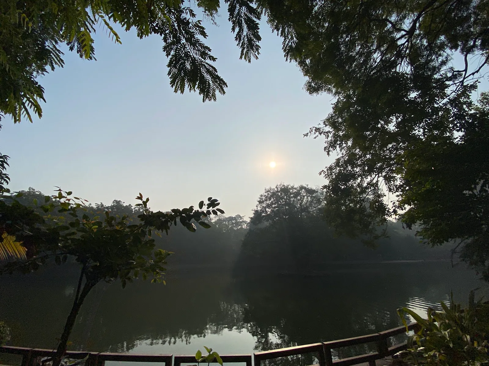 Prasad Nagar Jheel Park