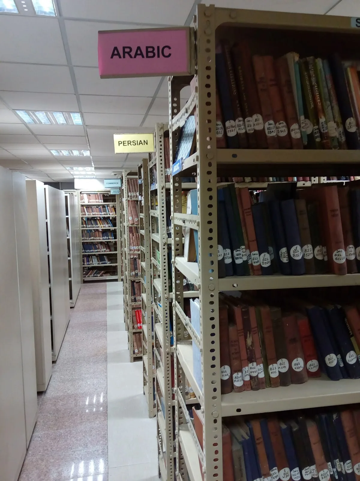 Mirza Mehmood Begh Library Zakir Husain Delhi College