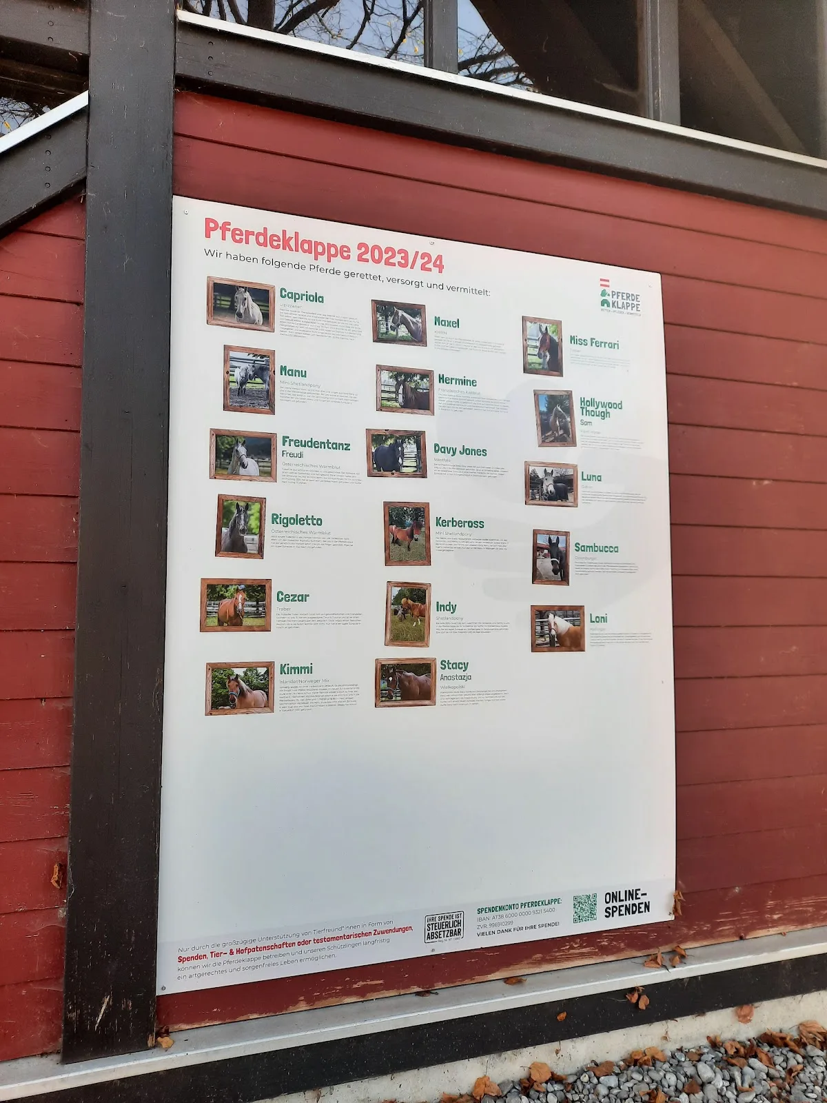Pferdeklappe Reutte