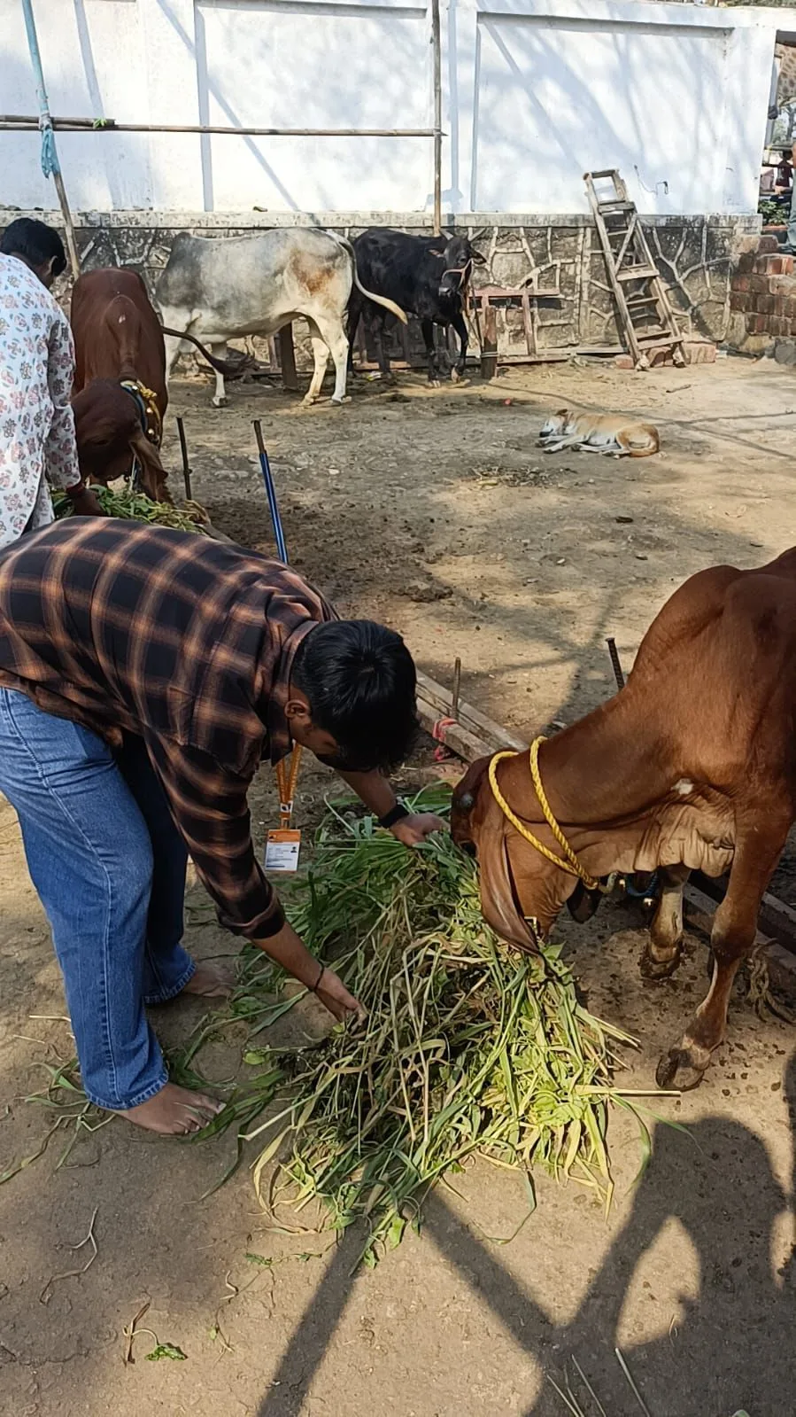 Ayushman Foundation NGO (Regd.)