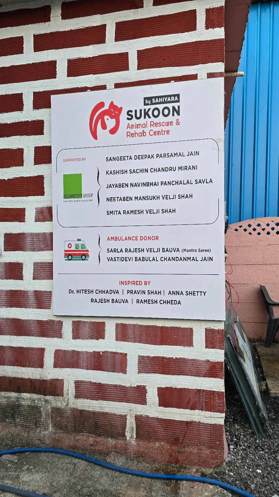 Sukoon no paws left behind