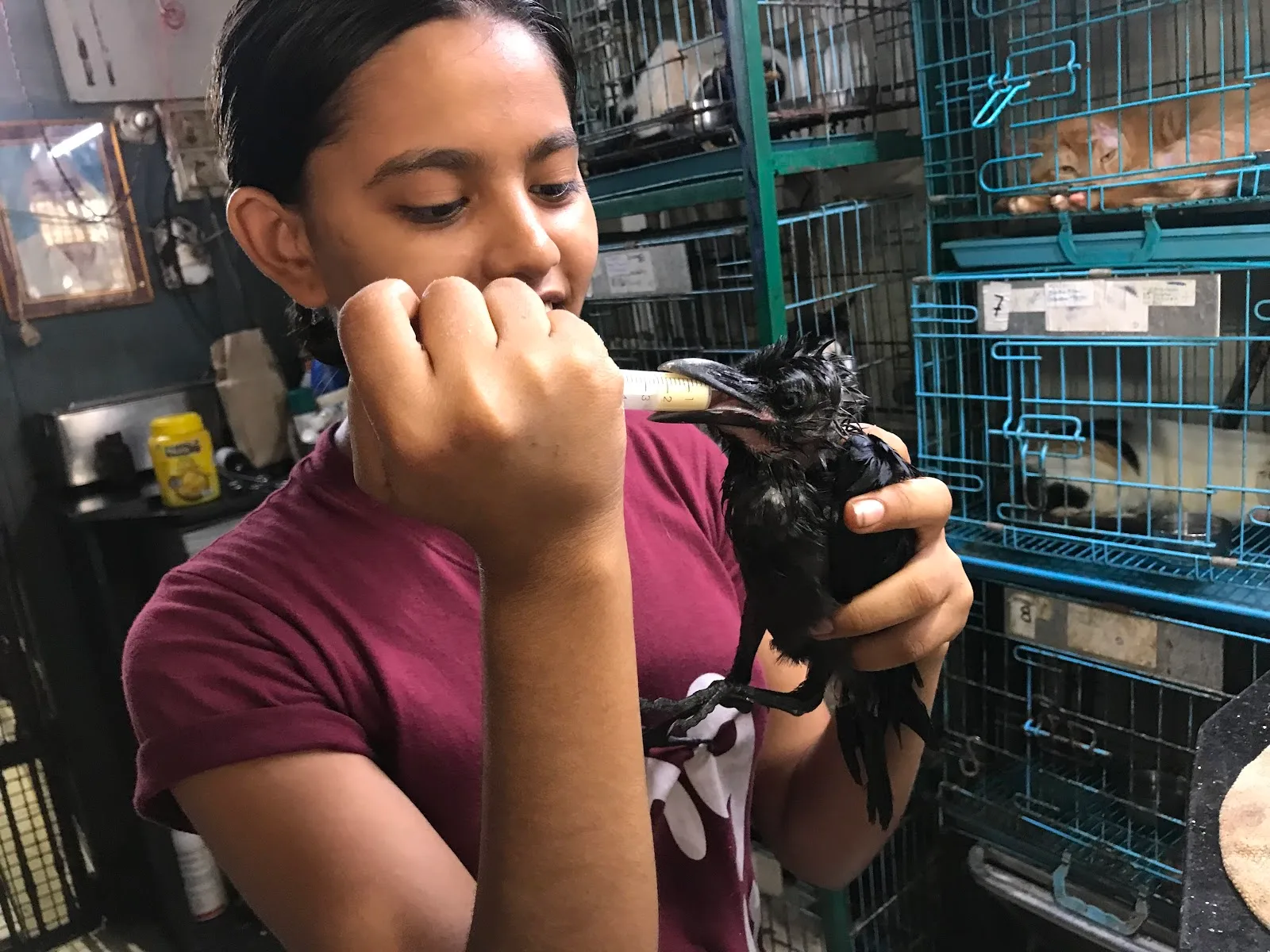 HELP Animals & Birds Hospital