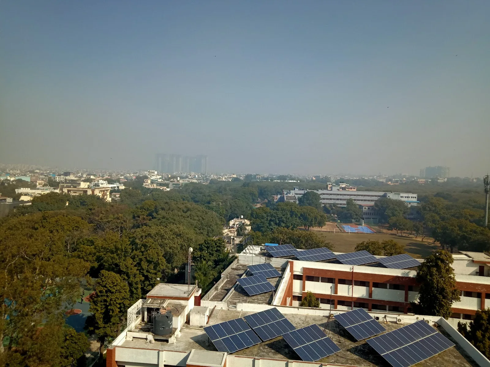 Pusa Hill Forest