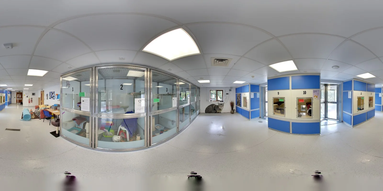 Battersea Dogs and Cats Home