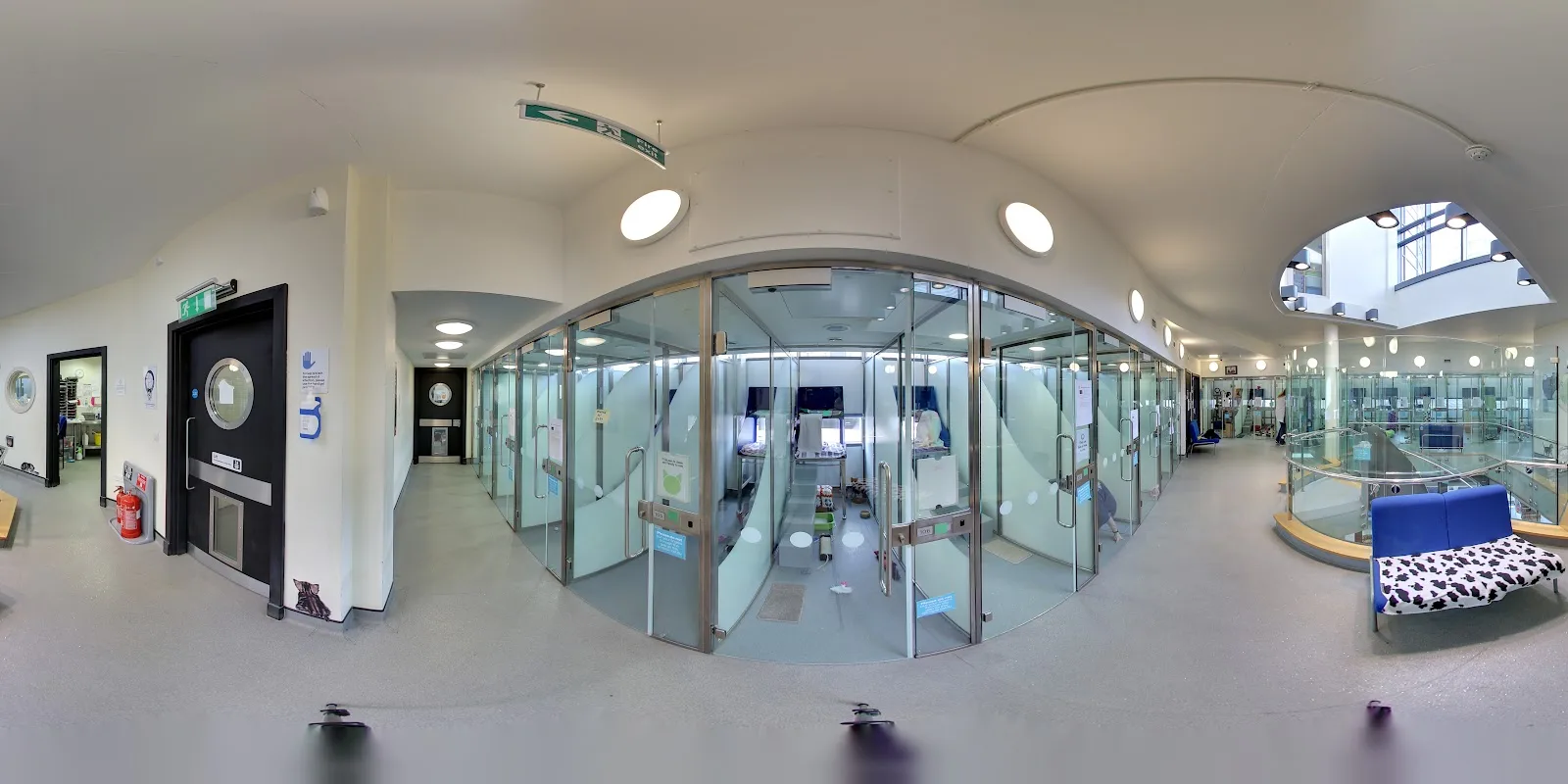 Battersea Dogs and Cats Home