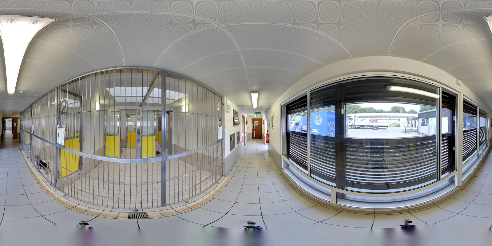 Battersea Dogs and Cats Home