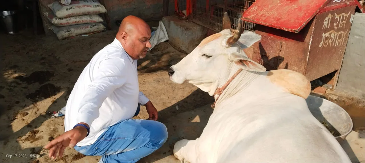 CMS GAU SEWA SANSTHA