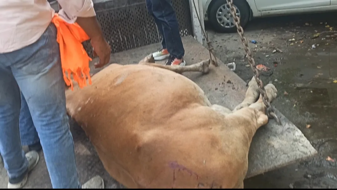 CMS GAU SEWA SANSTHA