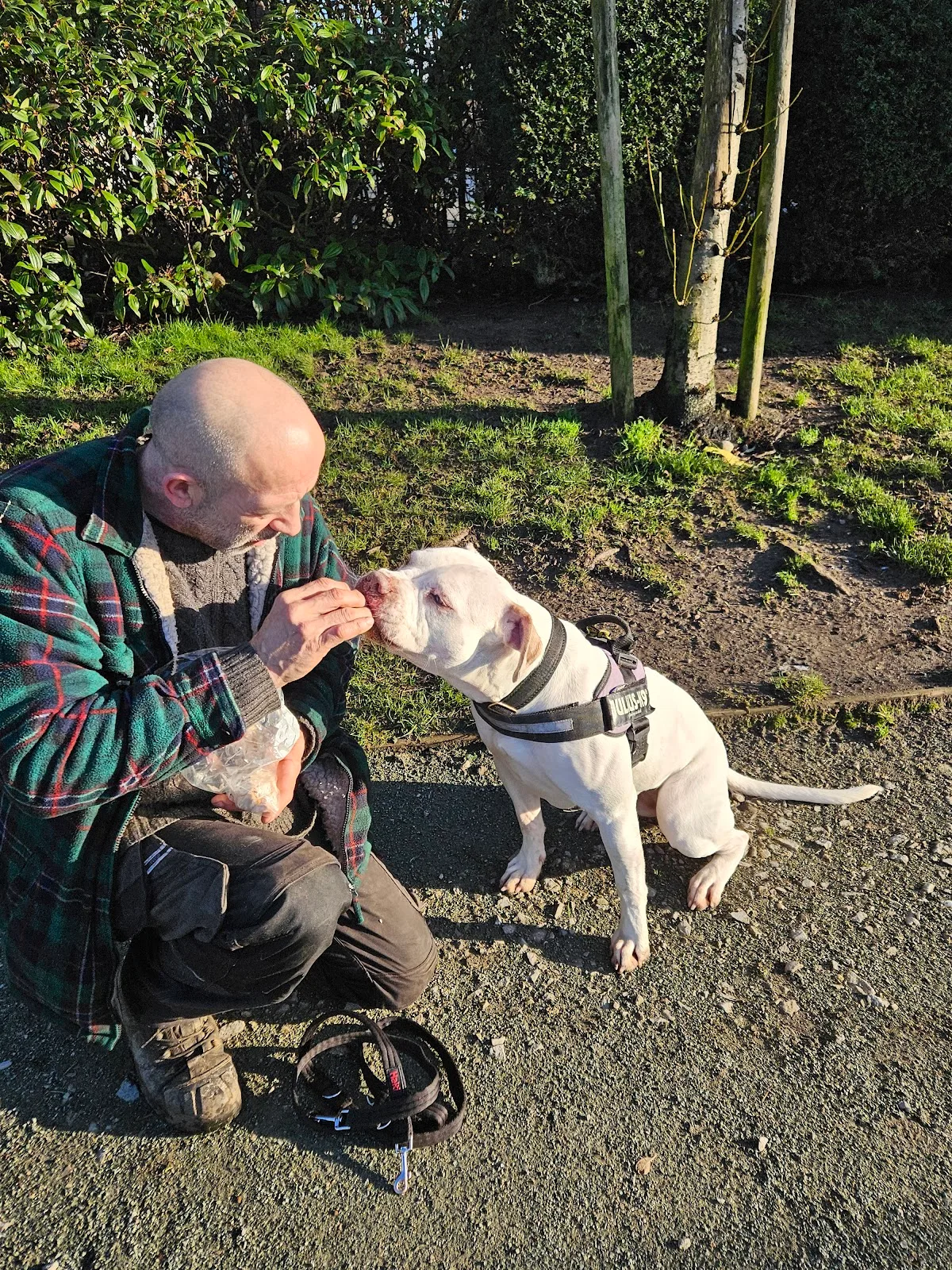 Dogs Trust Manchester