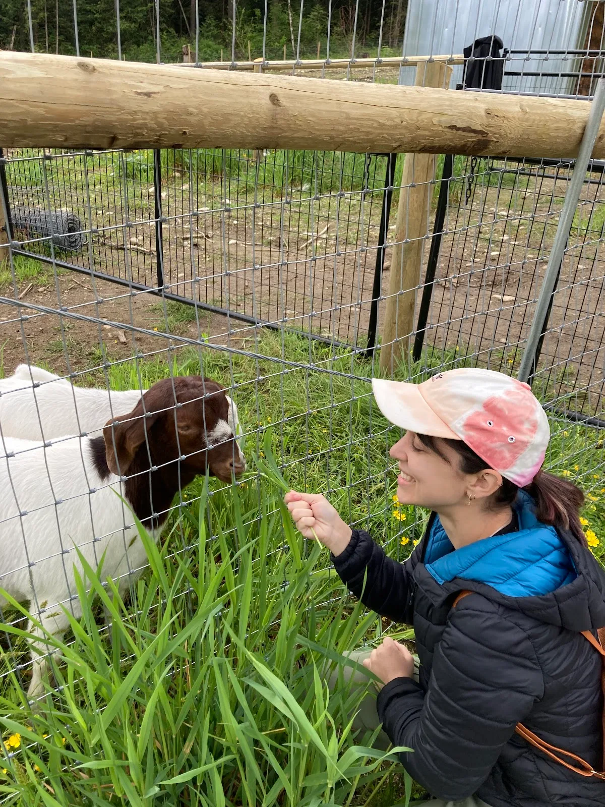 P.E.A.C.E. Rescue & Farm Sanctuary