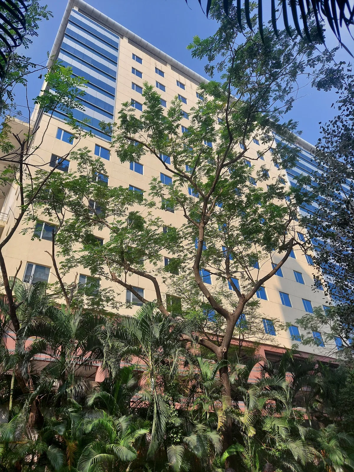 MBC Park