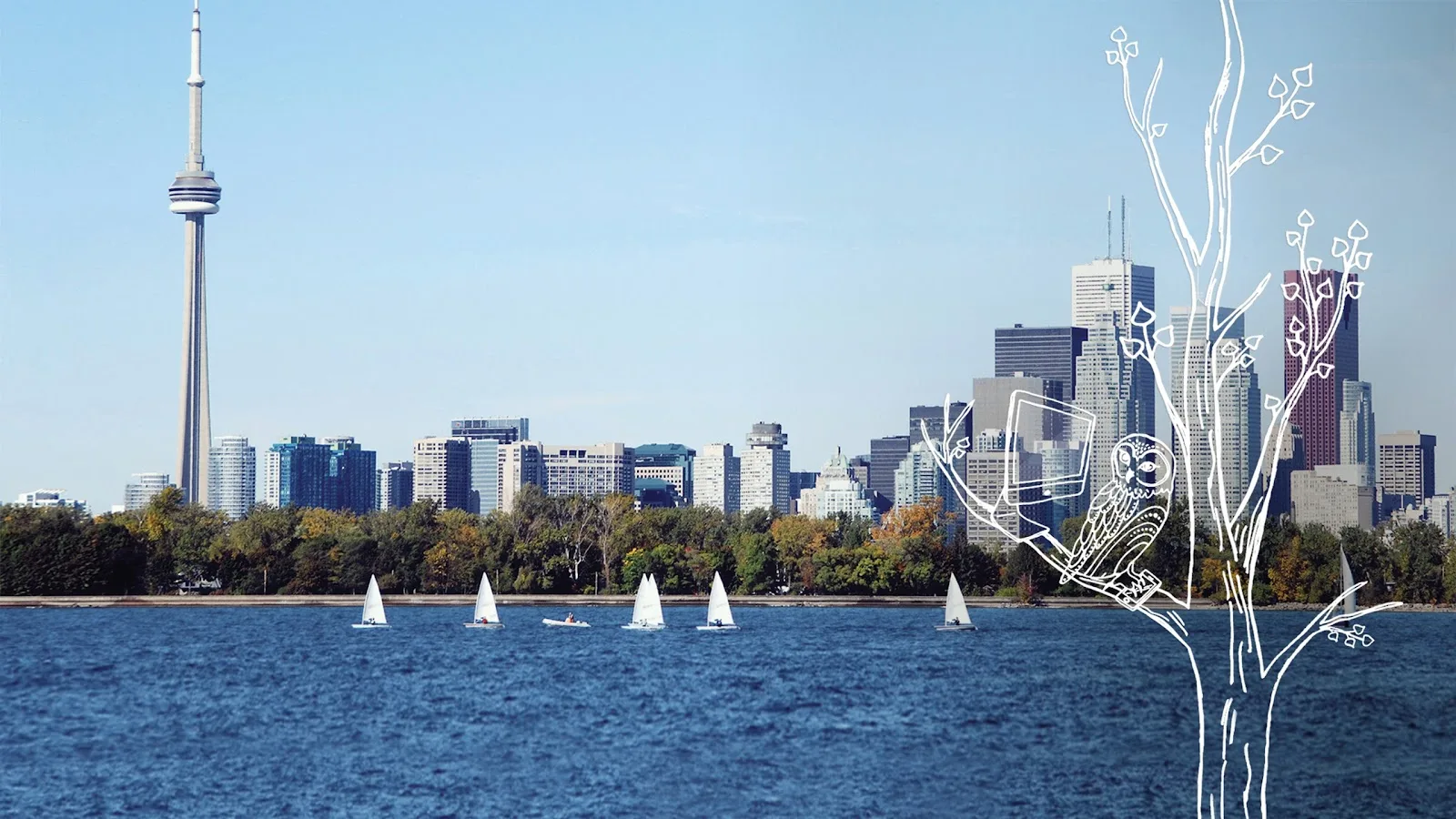 Toronto and Region Conservation Authority (TRCA)