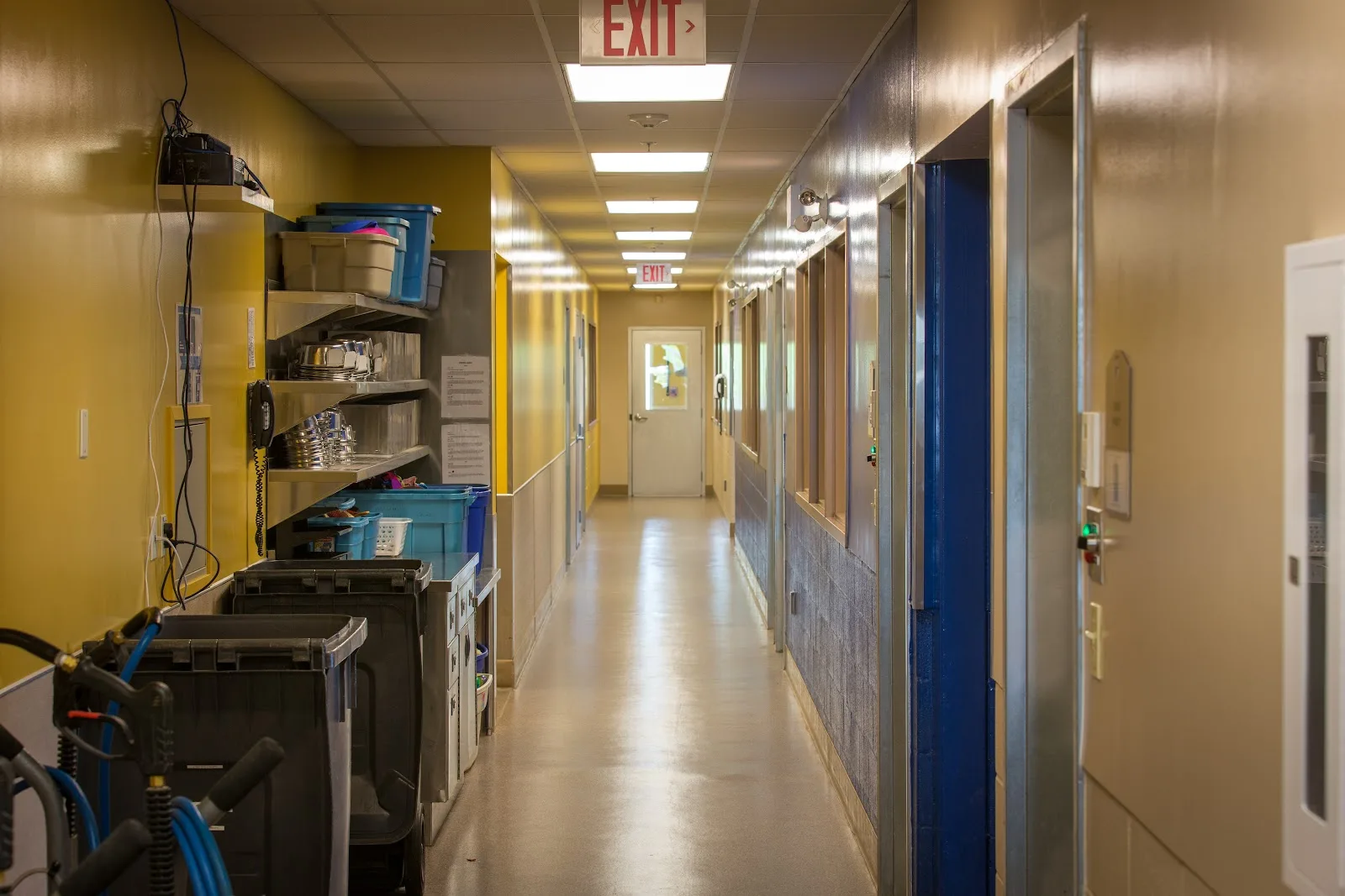 Edmonton Humane Society