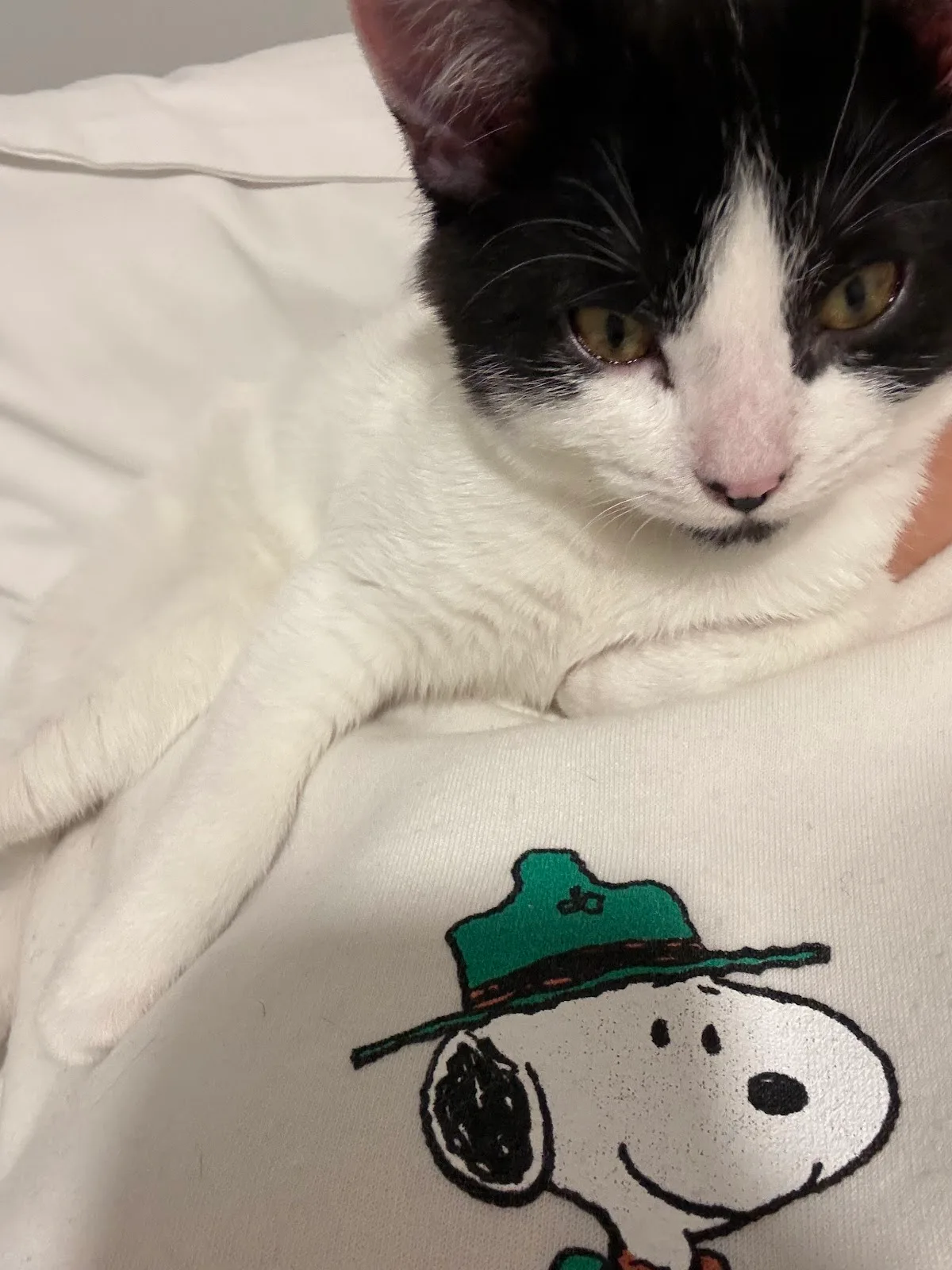 Edmonton Humane Society