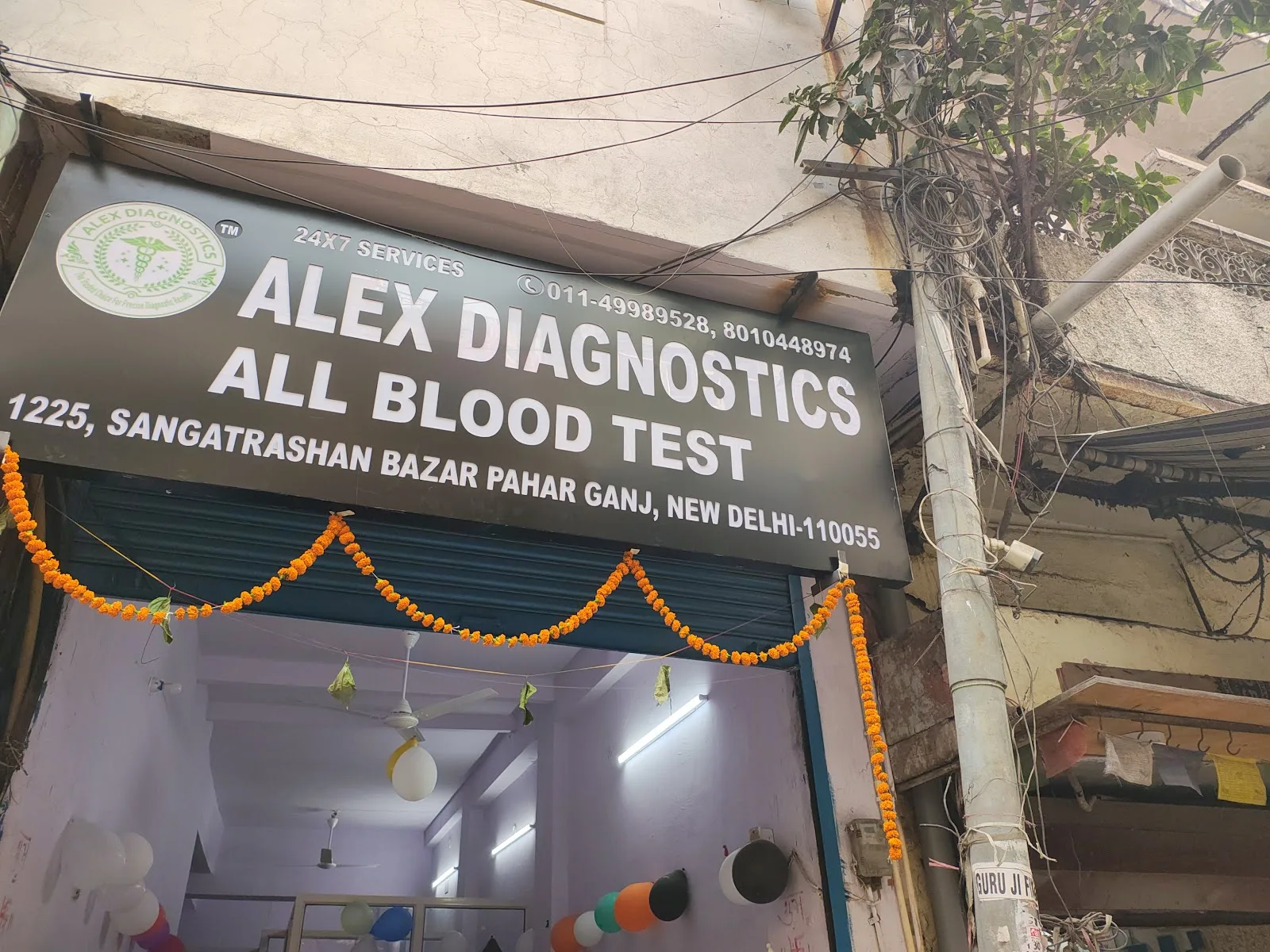 Alex Diagnostics