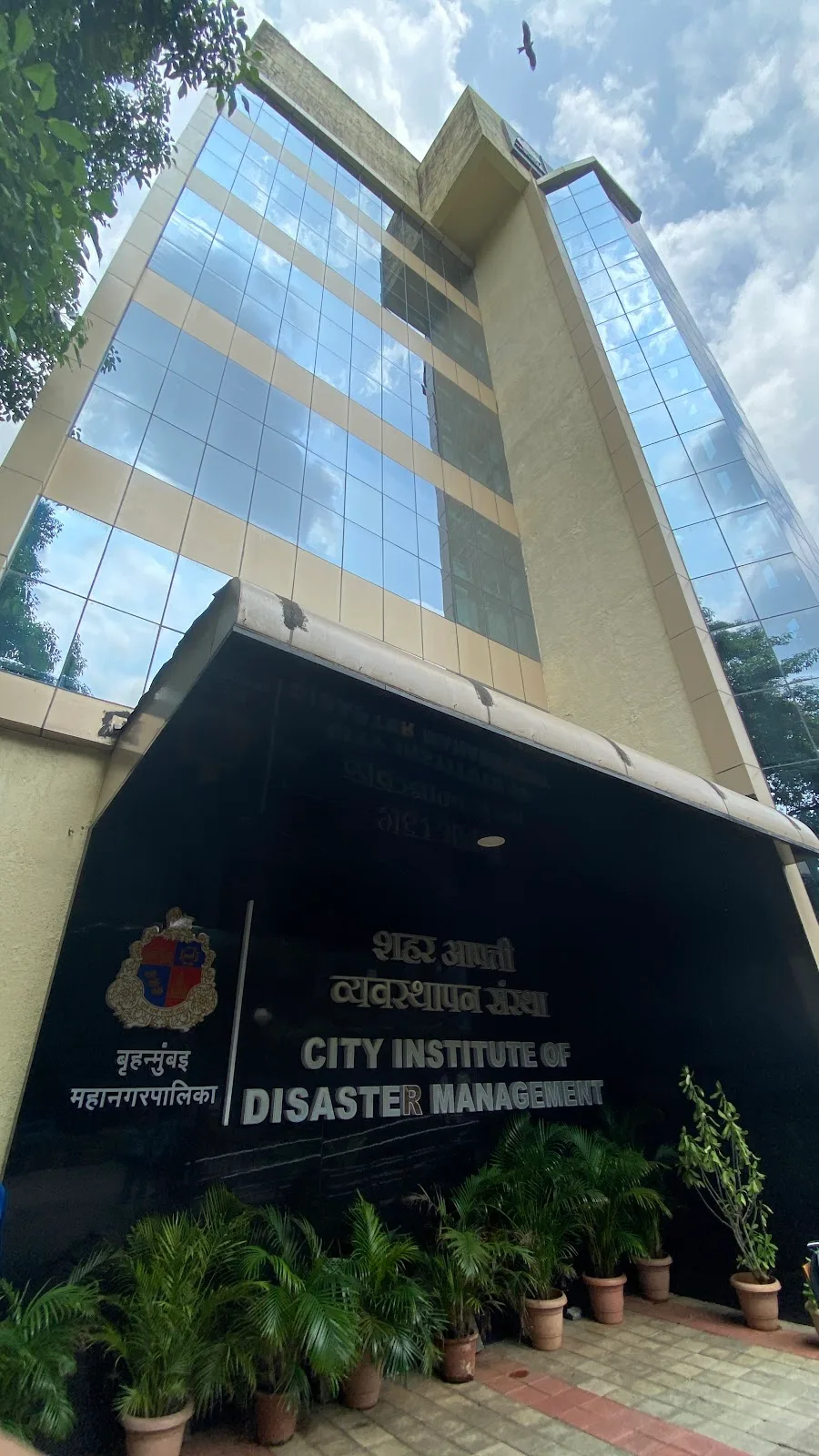 CIDM (City Institute of Disaster Management)