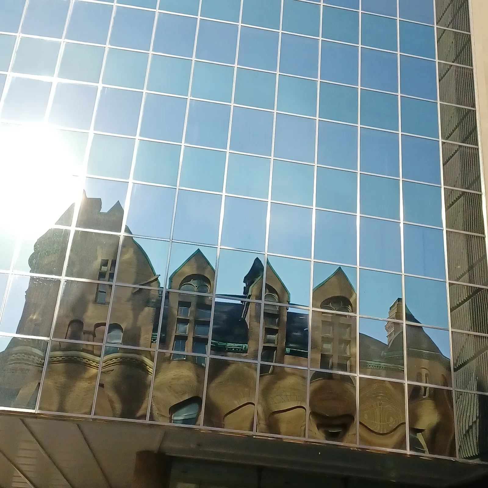 The Jane Goodall Institute of Canada