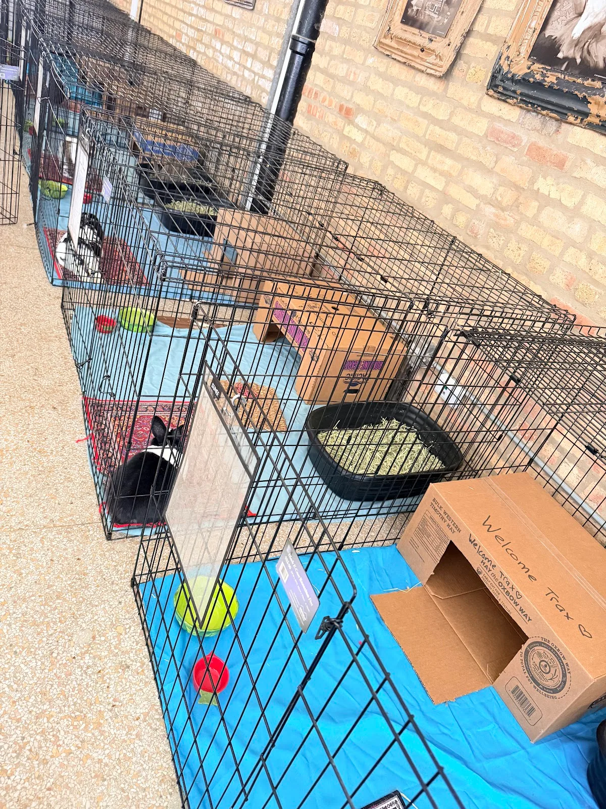 Red Door Animal Shelter