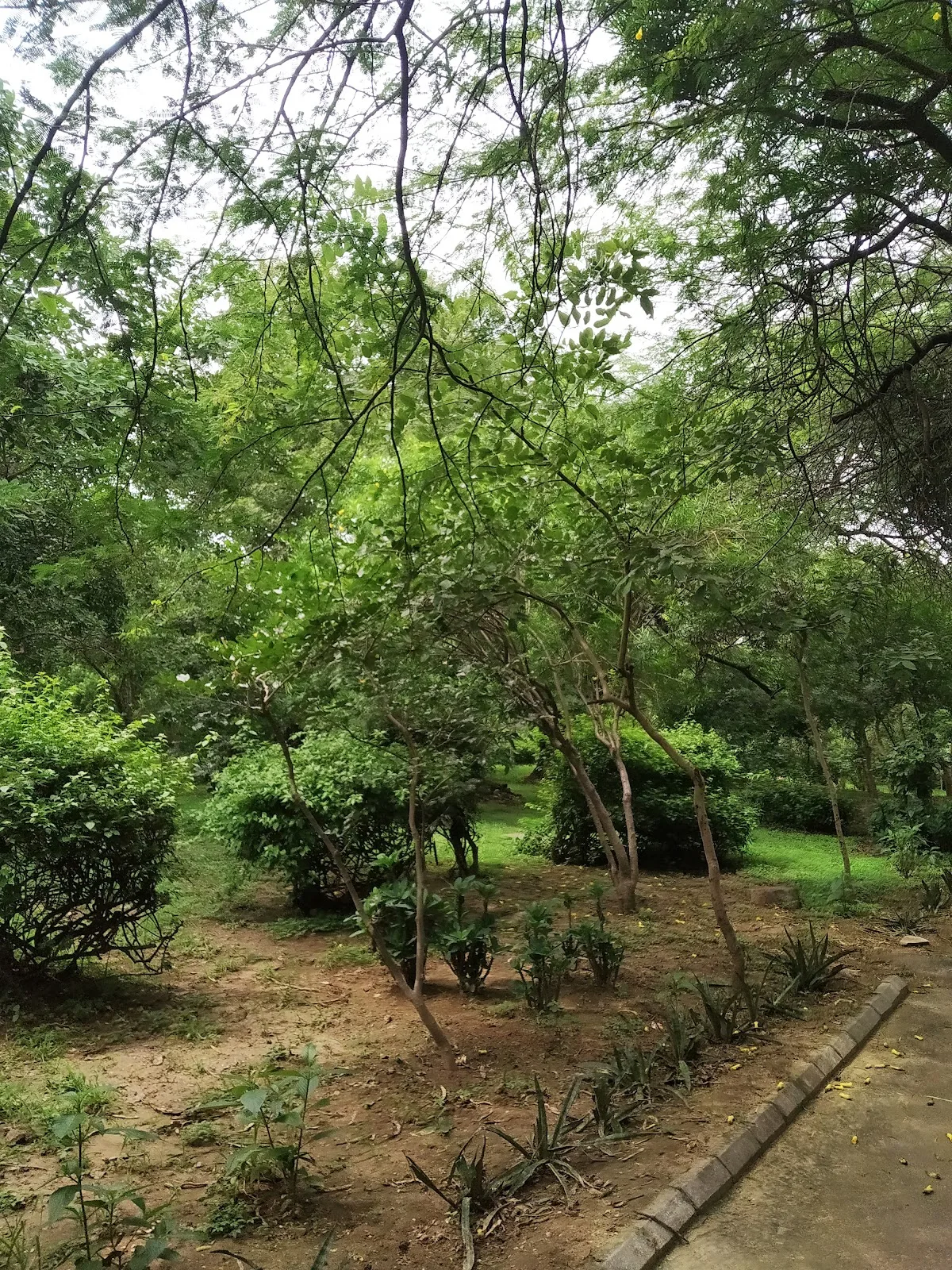 Bhooli Bhatyari Regional Park