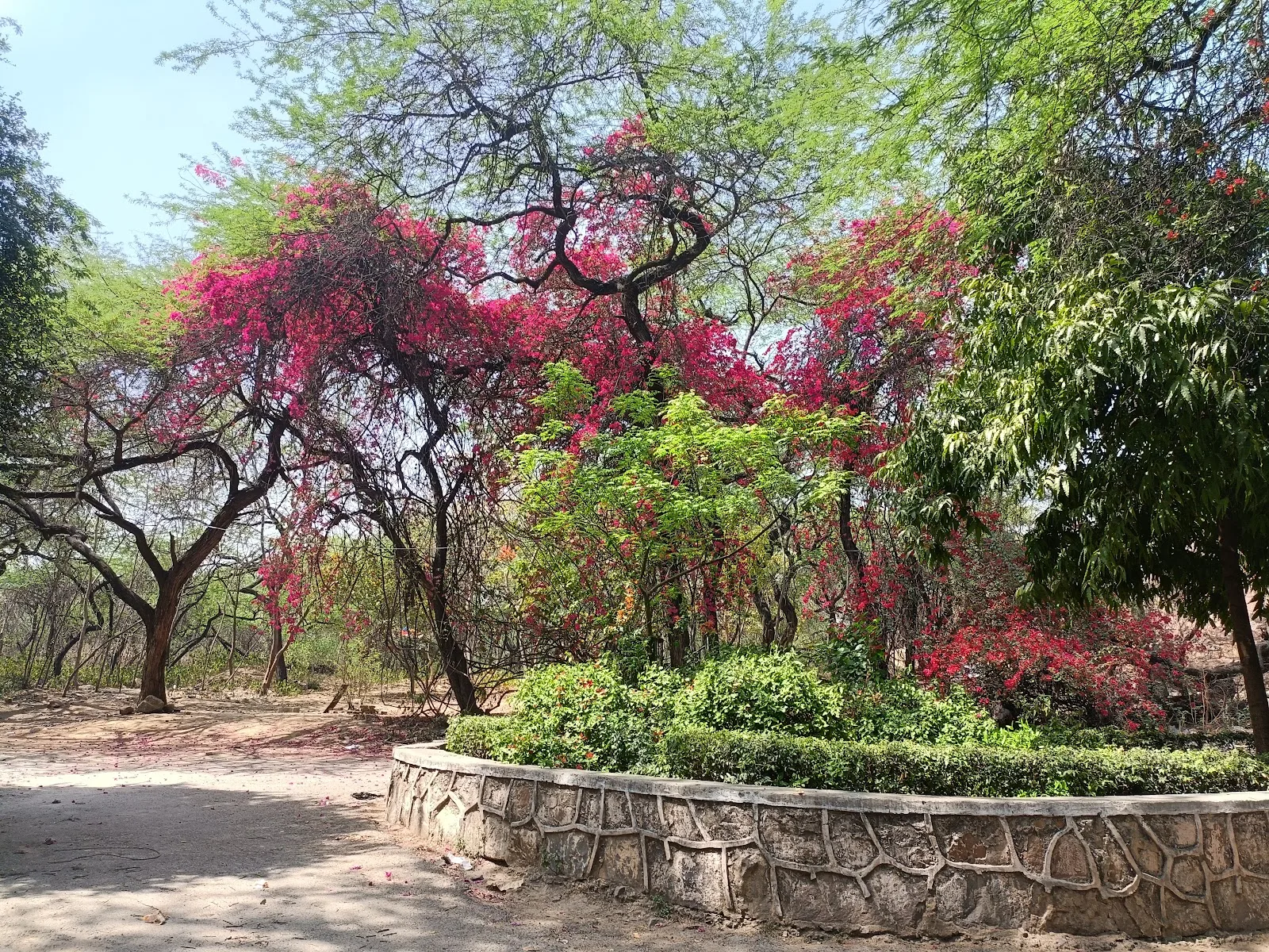 Bhooli Bhatyari Regional Park