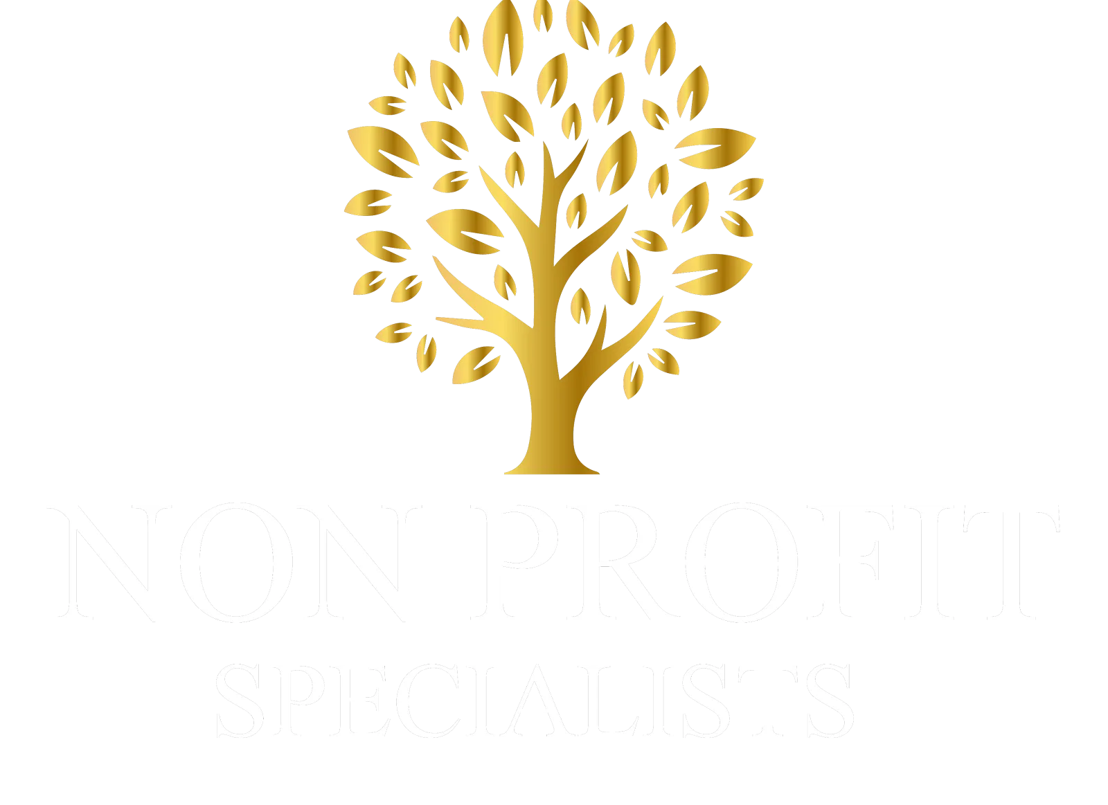 Non Profit Specialists