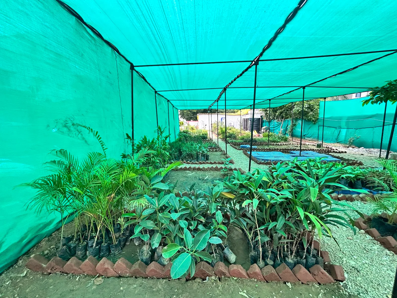 Catch Foundation : NGO Working For Environment Protection