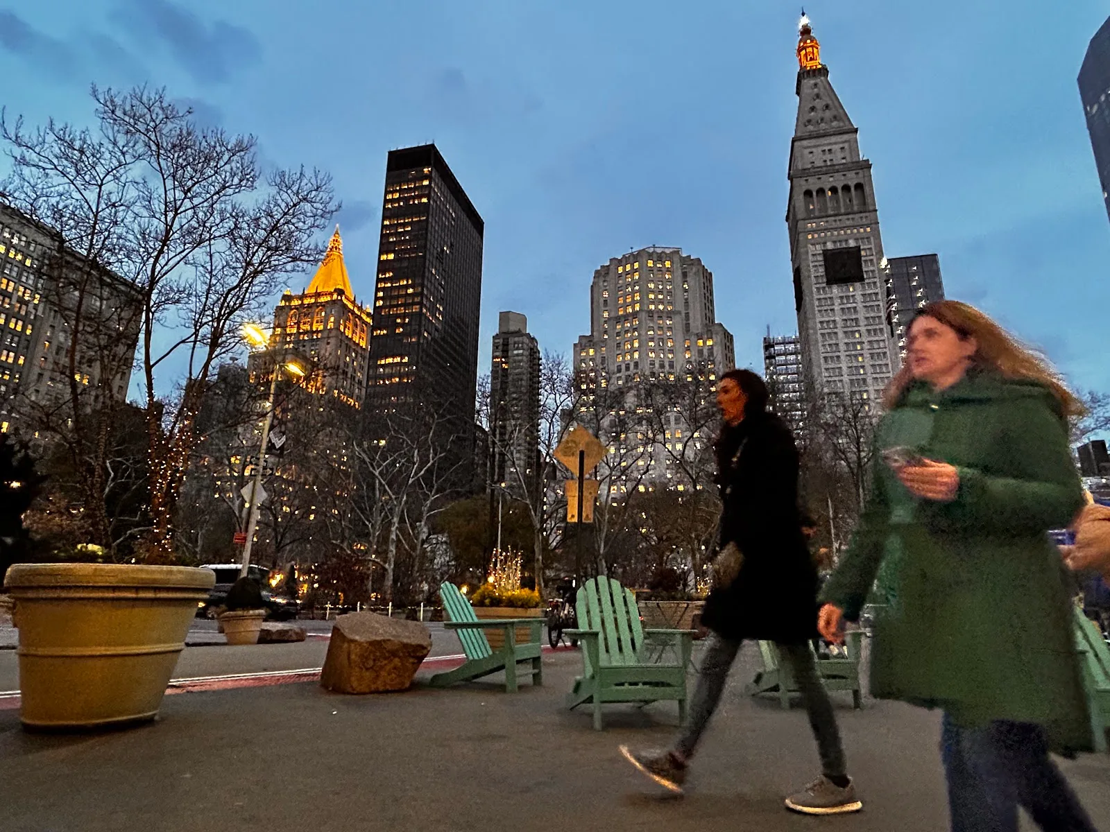 City Critters