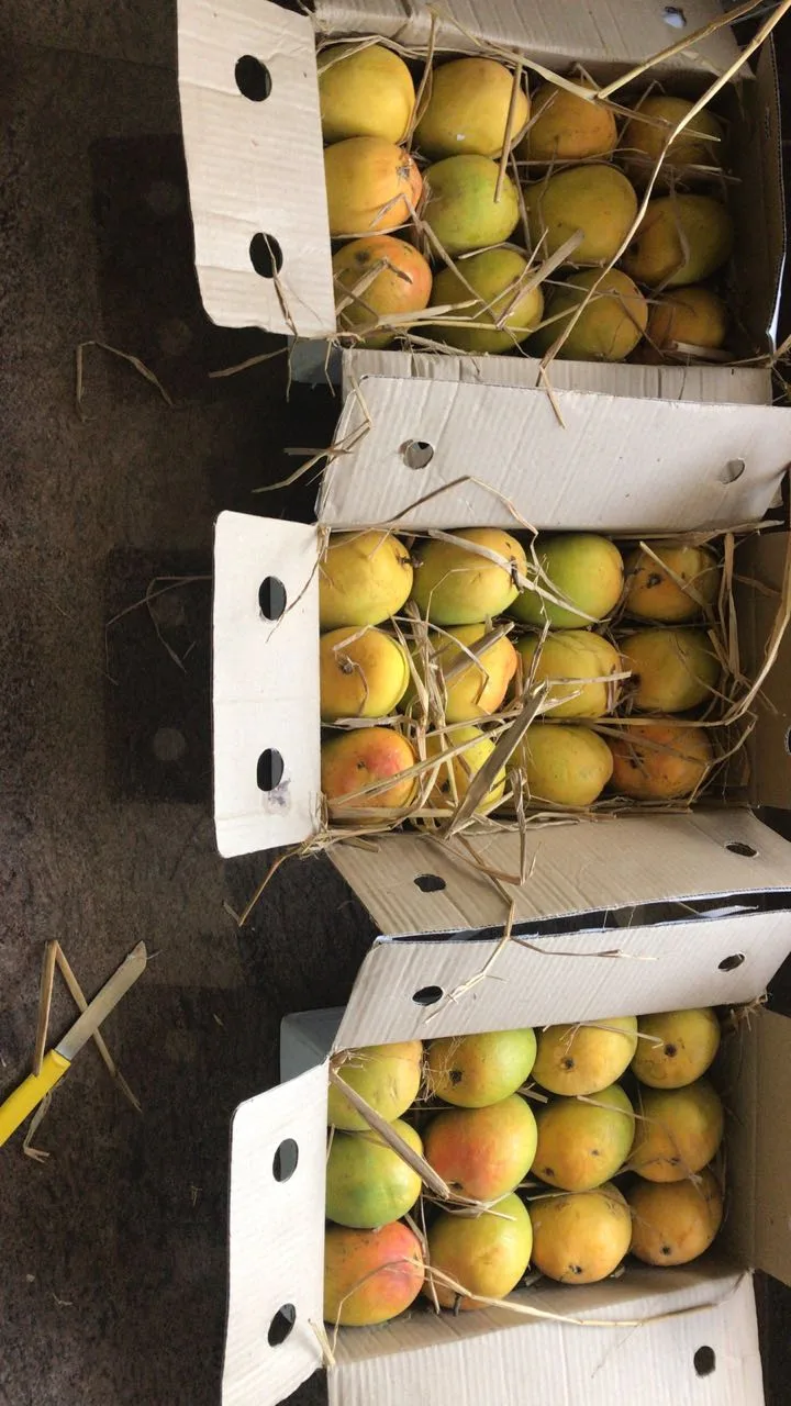 SAP Agro Services, Organic Farming Training Institute, Certification & Consultancy