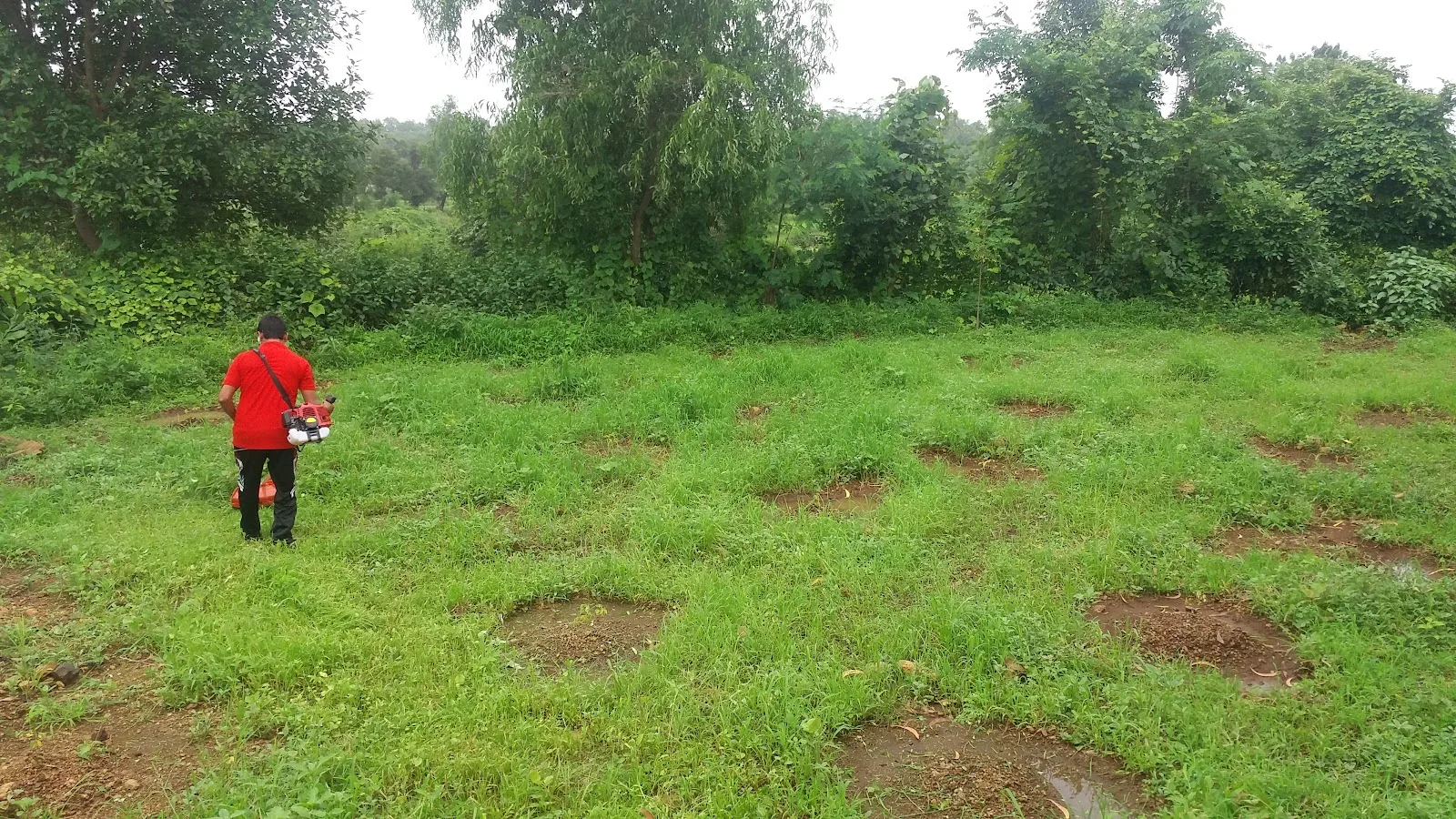 SAP Agro Services, Organic Farming Training Institute, Certification & Consultancy
