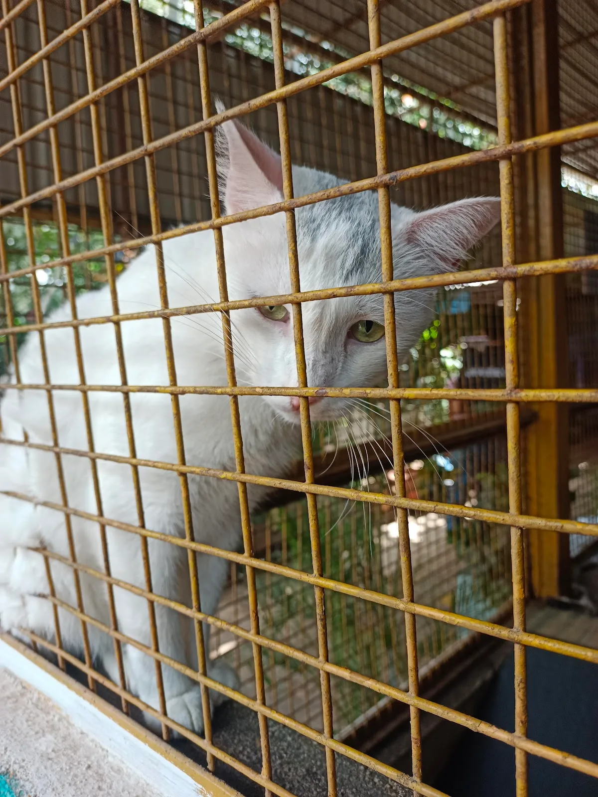 Charlie's Animal Rescue Centre (CARE)