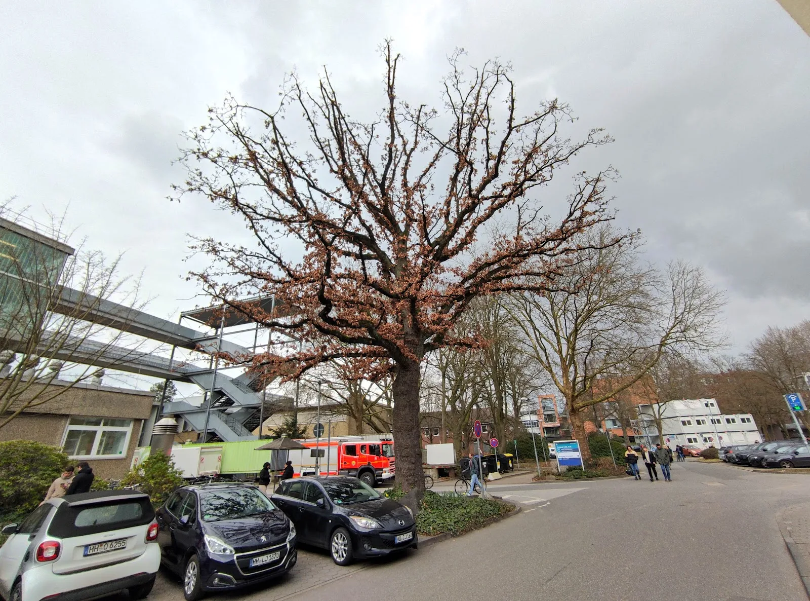 Fördergemeinschaft Kinderkrebs-Zentrum Hamburg