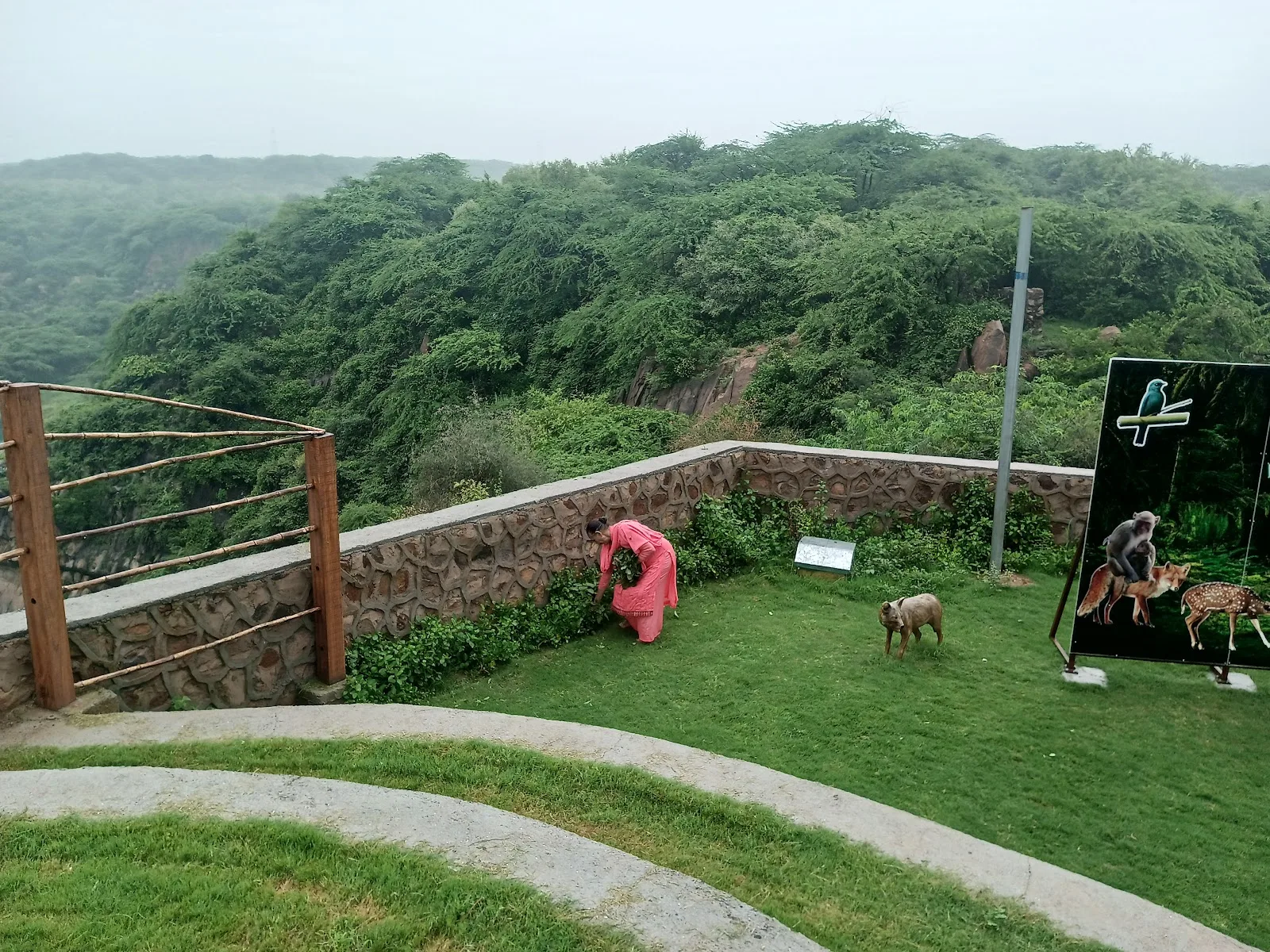 Neeli Jheel Delhi