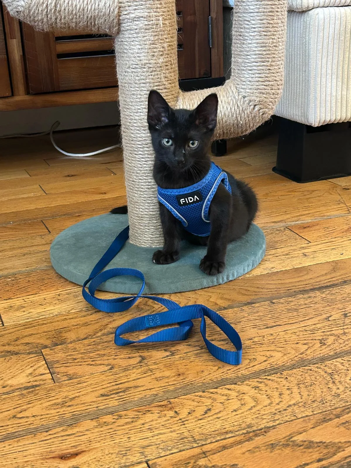 Animal Care Centers of NYC - Staten Island