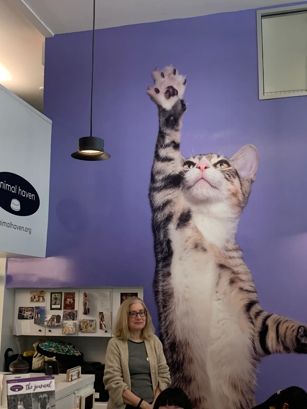 Animal Haven