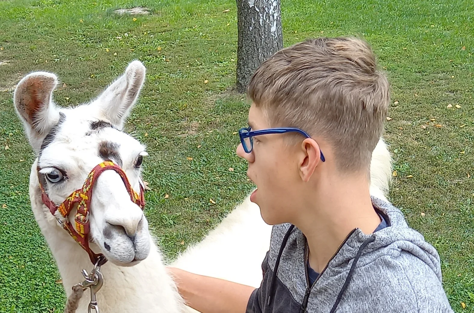 Ferien ohne Handicap