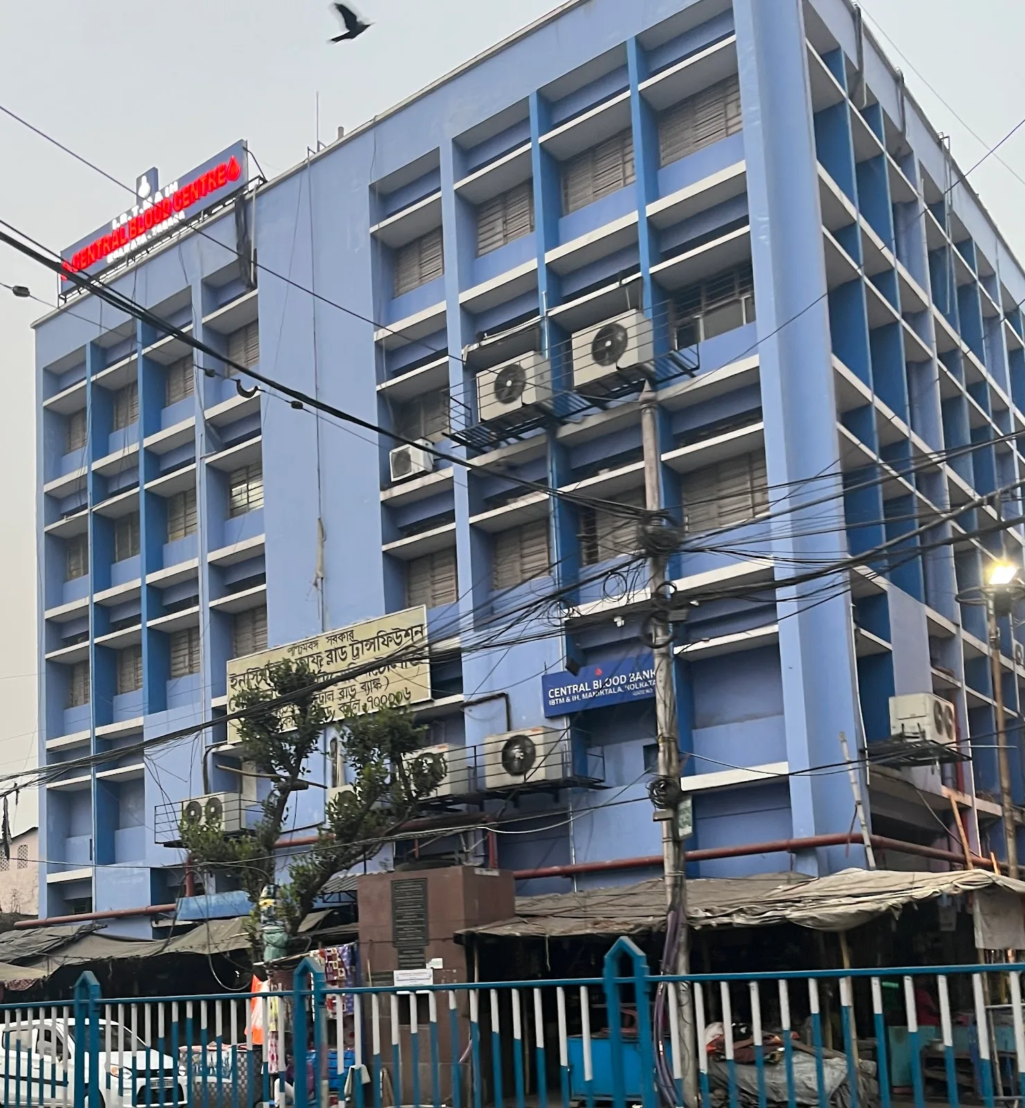 IBTM&IH