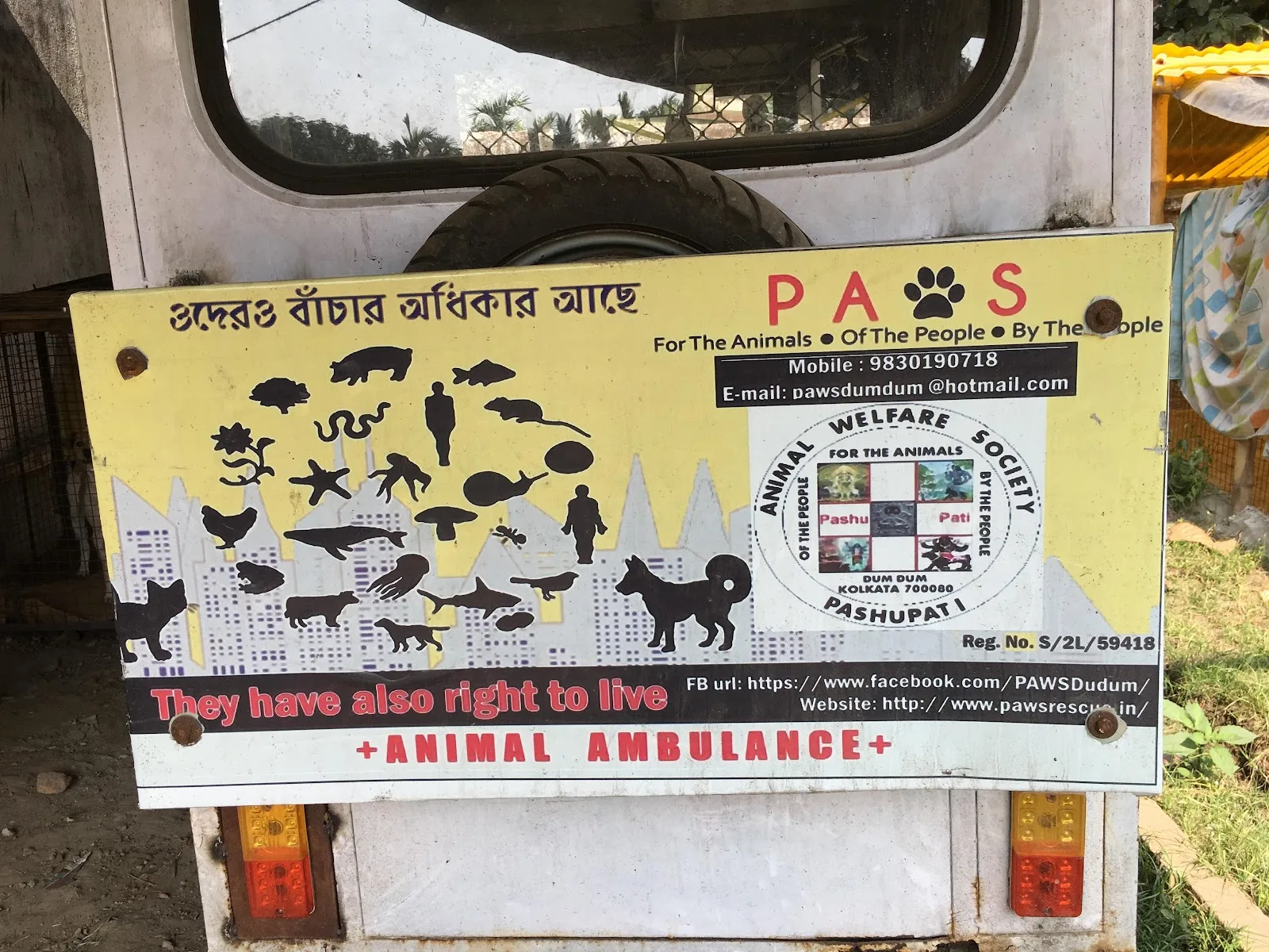 Pashupati Animal Welfare Society-P.A.W.S