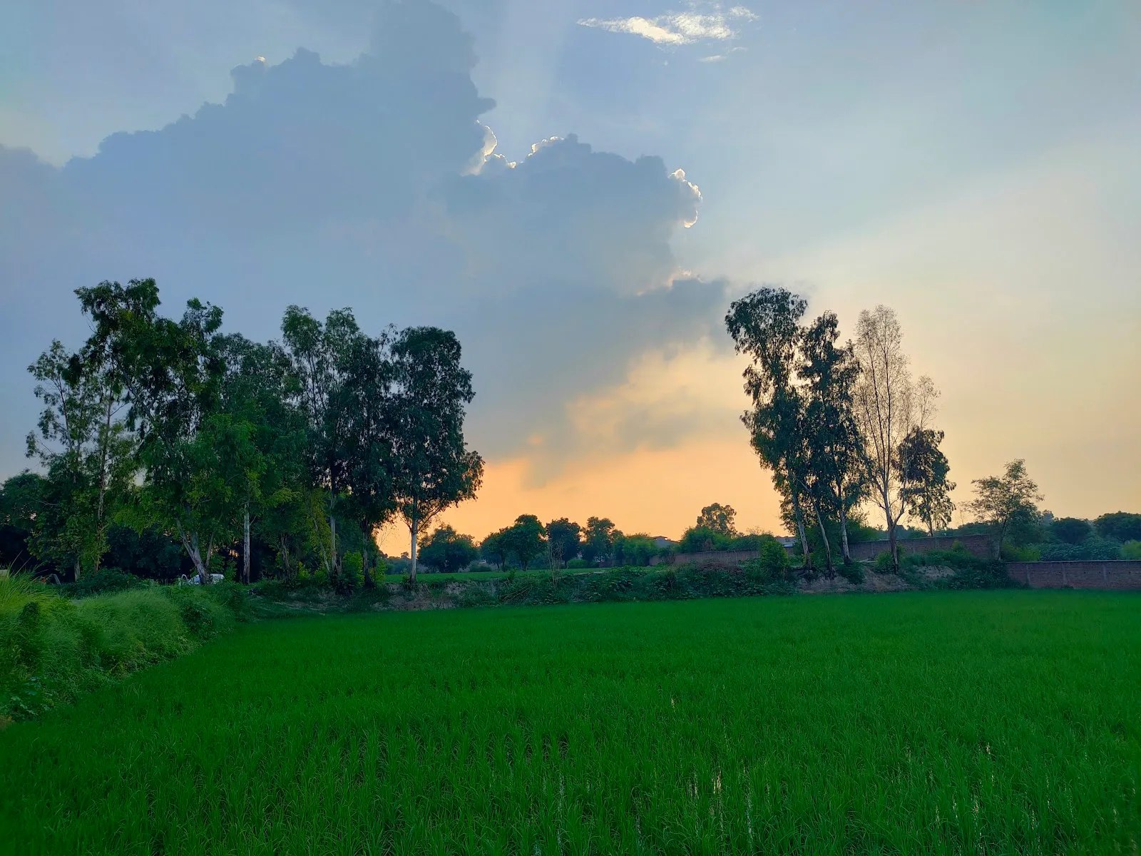 Kalki Goshala