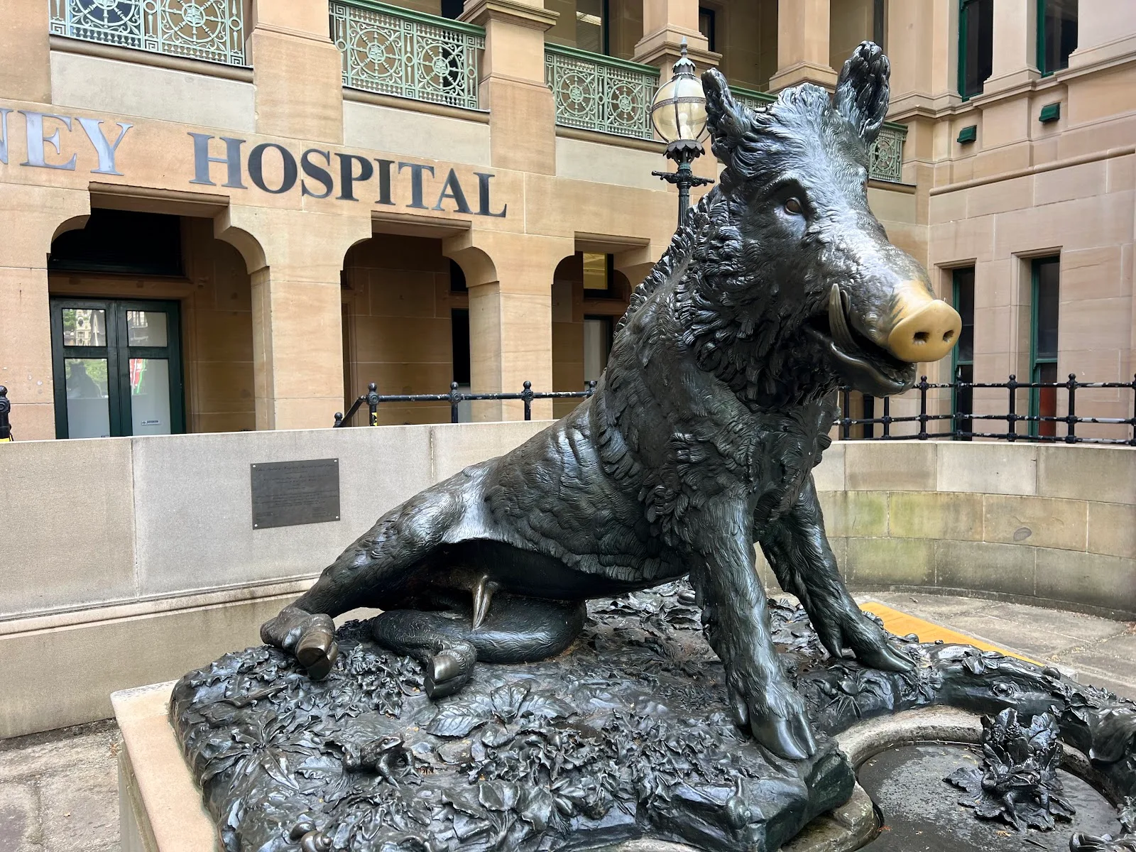 Sydney Eye Hospital Foundation