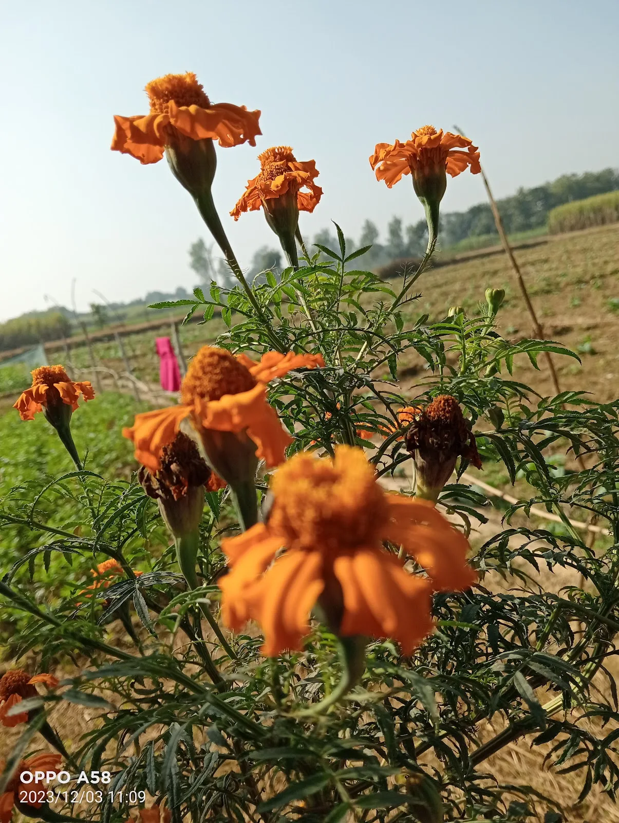 Khushi Rainbow Home