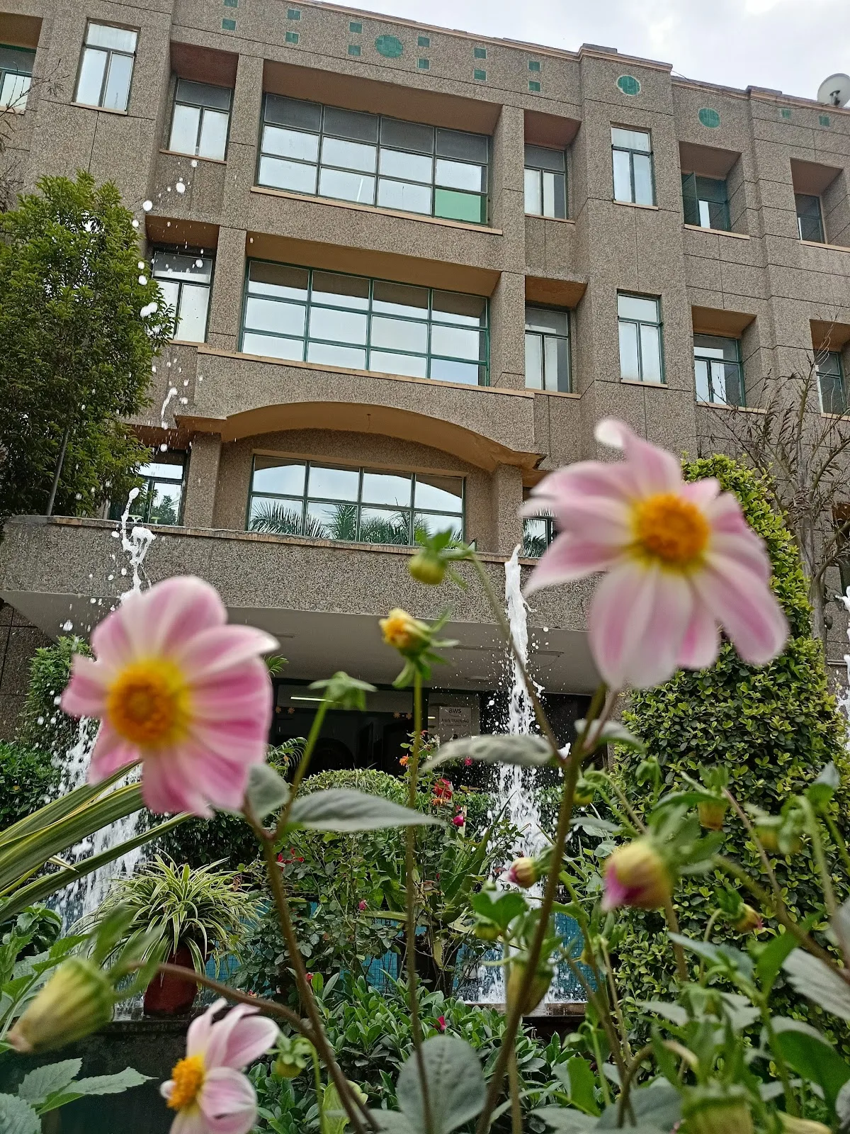 Awadh Centre Of Education