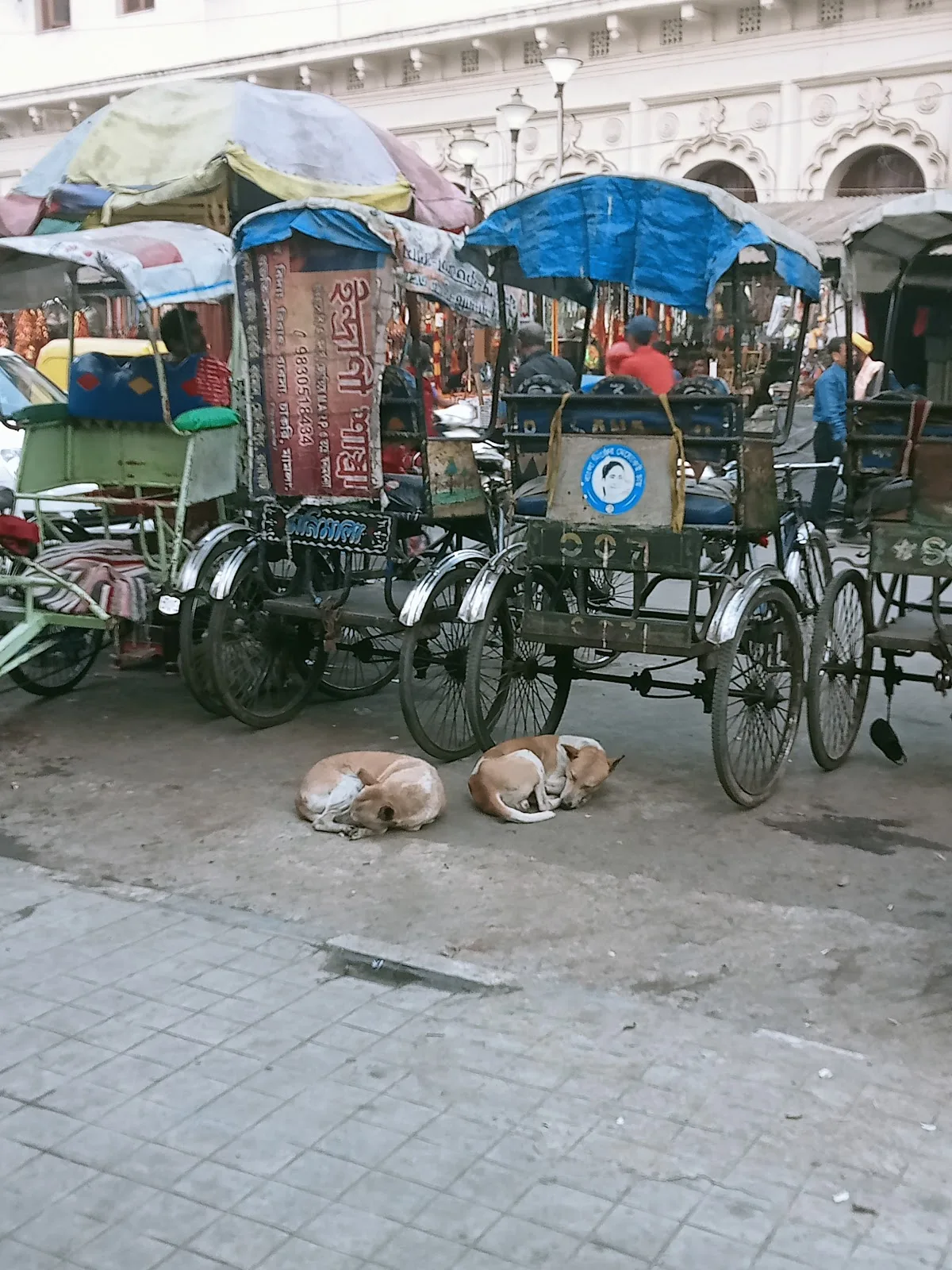Missionaries of Charity, Nirmal Hriday Mother Teresa's Home for the Dying Destitutes