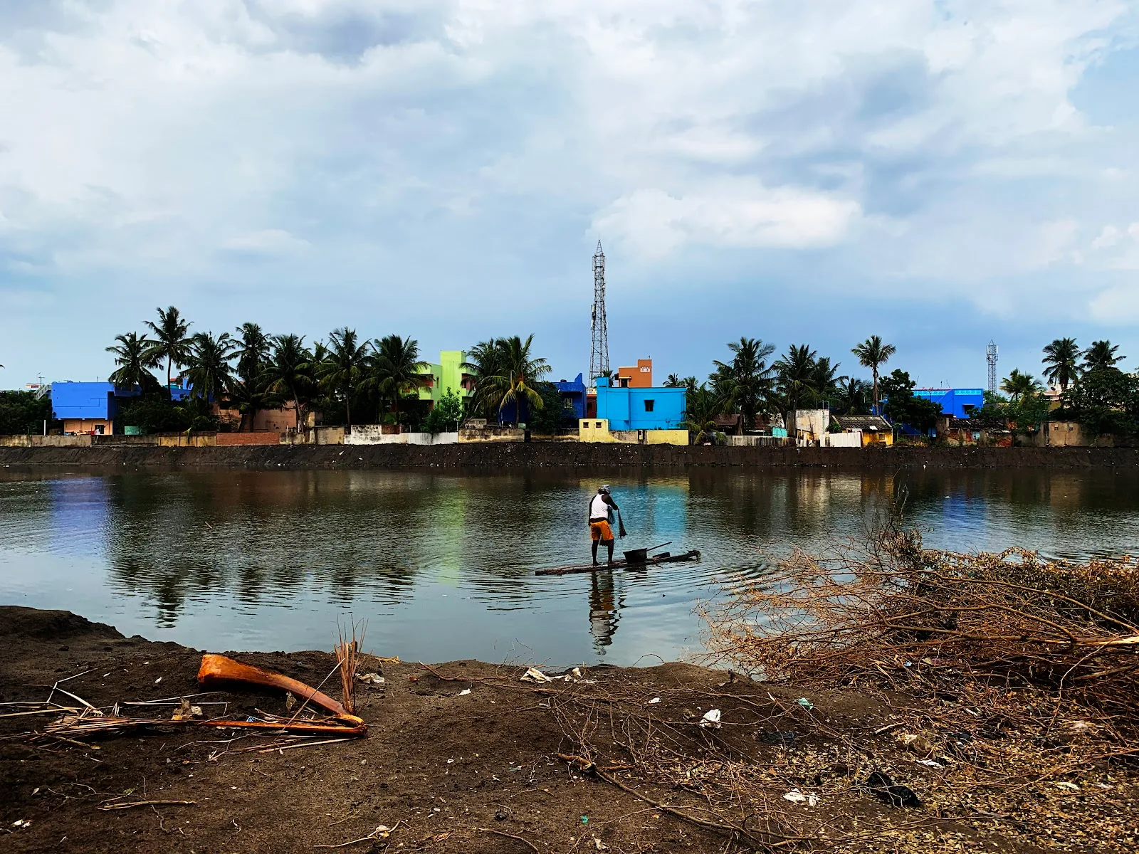 Environmentalist Foundation of India (E.F.I)
