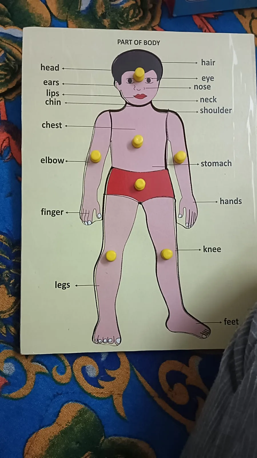 Khushal Singh – ABA | Special Educator | Autism | Behavioral Therapist | Delhi NCR