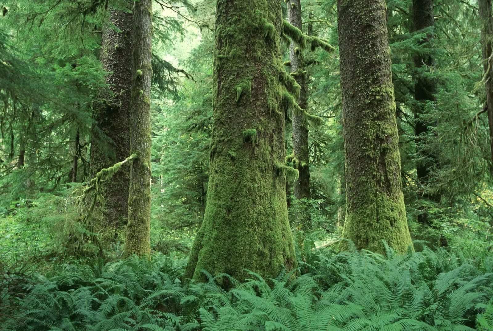 Ecotrust Canada