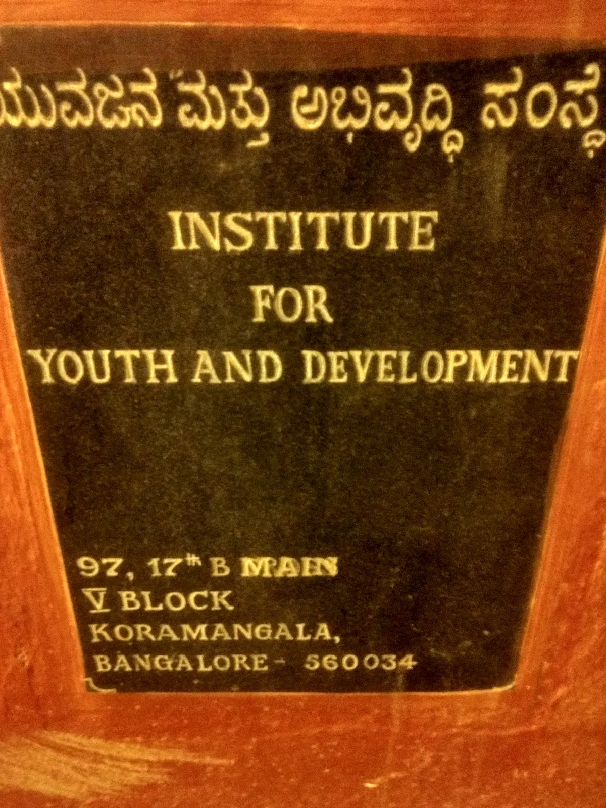 Institute for Youth Development