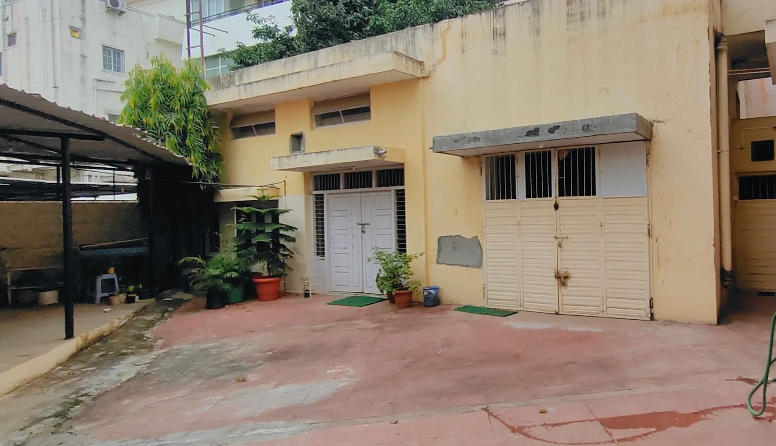 Institute for Youth Development