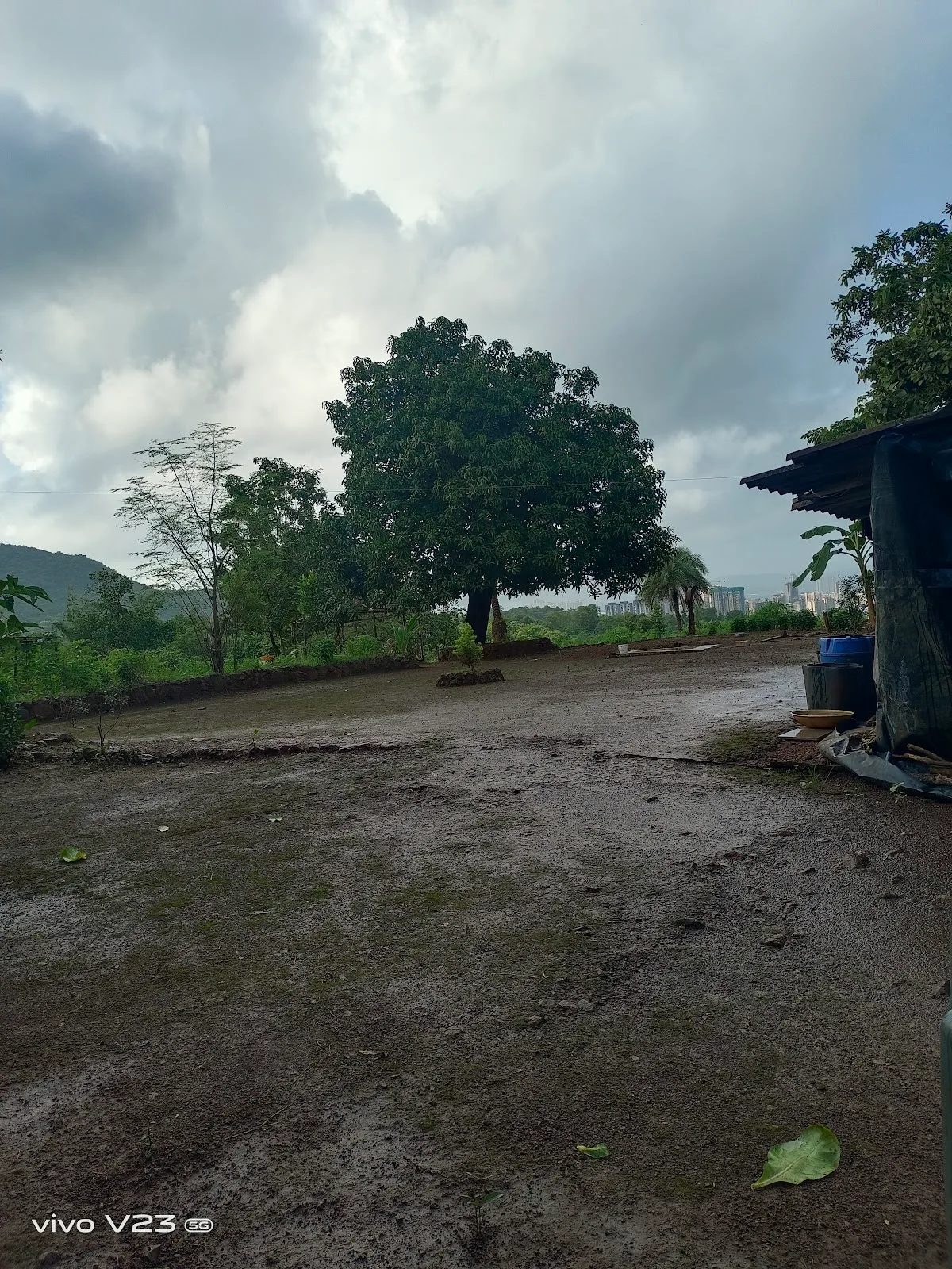 Gavit farm